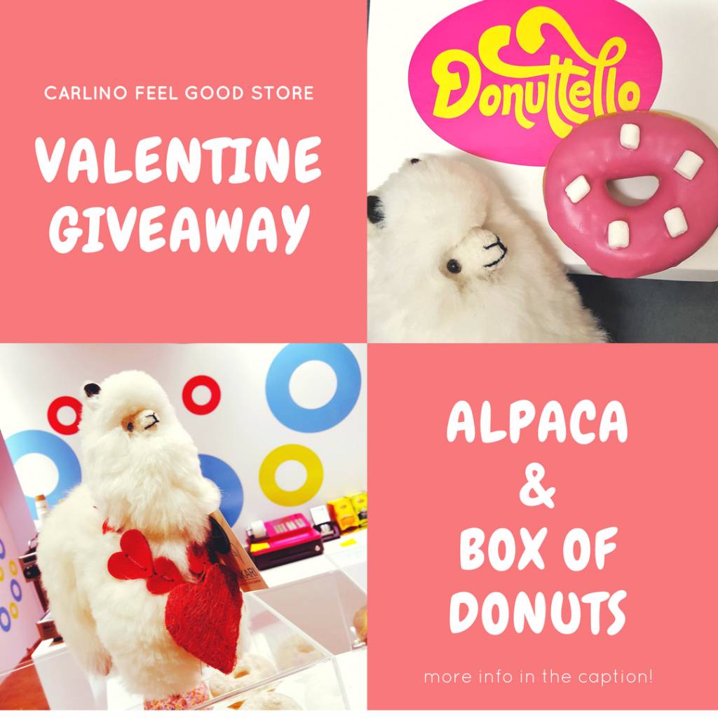 Valentine's Day Giveaway