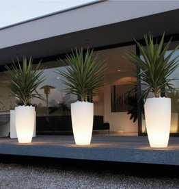 https://static.webshopapp.com/shops/240413/files/143078243/262x276x1/elho-pure-soft-round-high-led-light.jpg