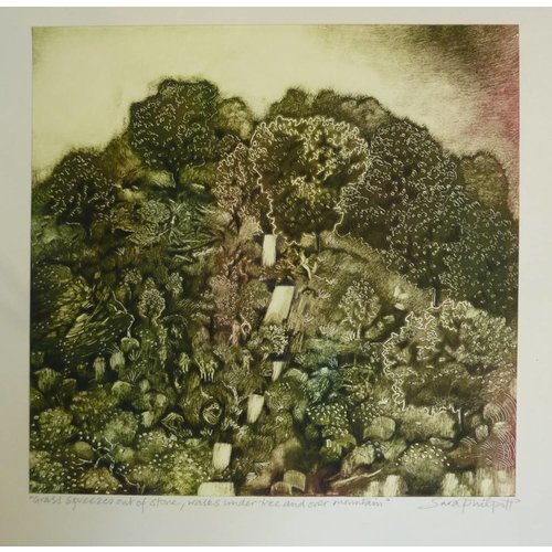 Sara Philpott Grass Squeezes out of stone, walks under tree and one mountain Sara Philpott Grass Squeezes out of stone, walks under tree and one mountain