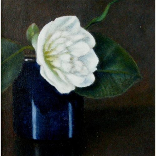 Linda Brill Camellia Linda Brill Camellia