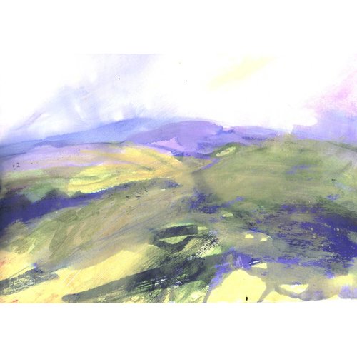 Liz Salter Hazy Moor Liz Salter Hazy Moor