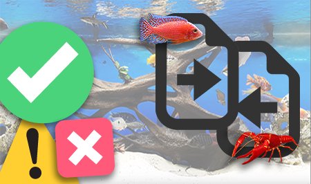 Vissen bij elkaar in het aquarium?