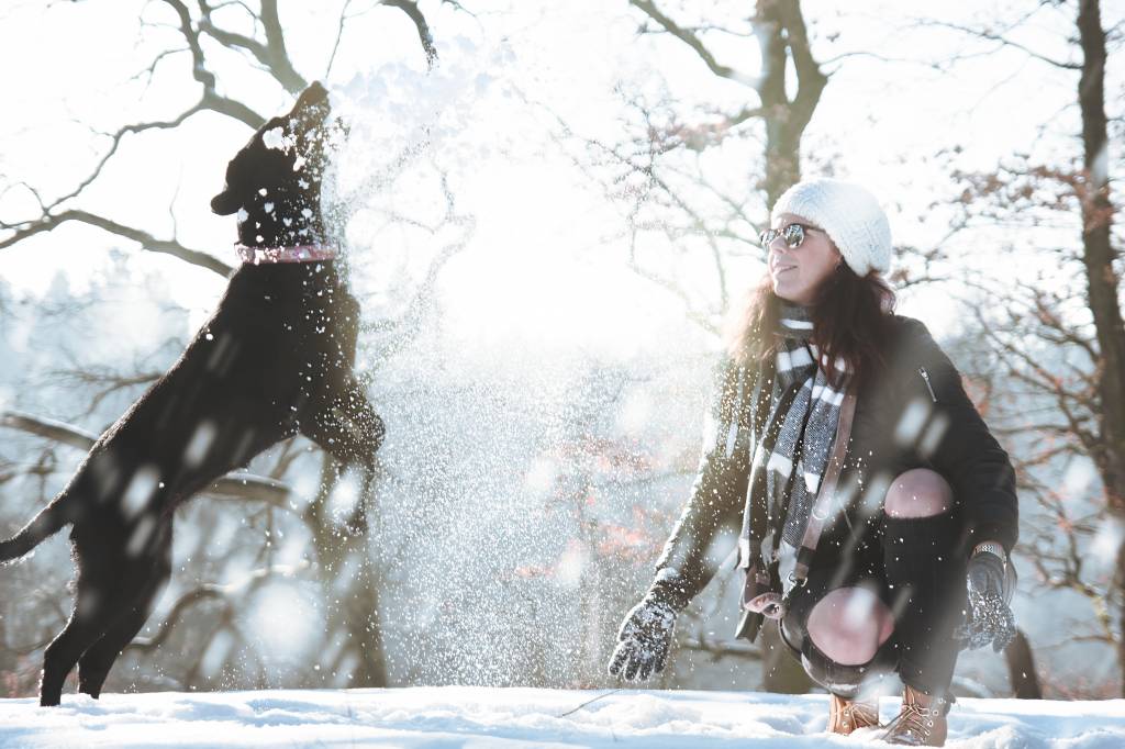 Hunde im Schnee - Manche haben ihn zum Fressen gern