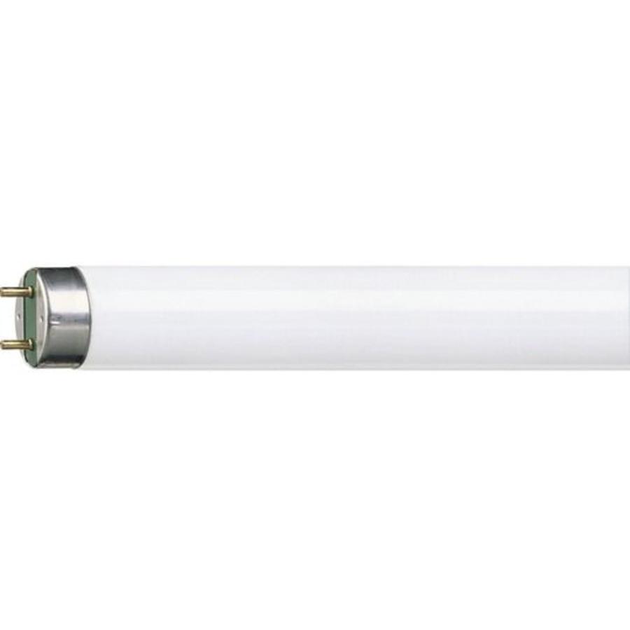 Philips/ Osram TL buis 36W kleur 830 - Groothandel Meppel Philips/ Osram TL buis 36W kleur 830 - Groothandel Meppel