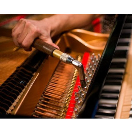 Kosten Piano Stemmen en Vleugel Stemmen