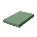 Schlafgut Schlafgut Pure Jersey Boxspring Hoeslaken M - 120x200 - 130x220 665 Green Mid