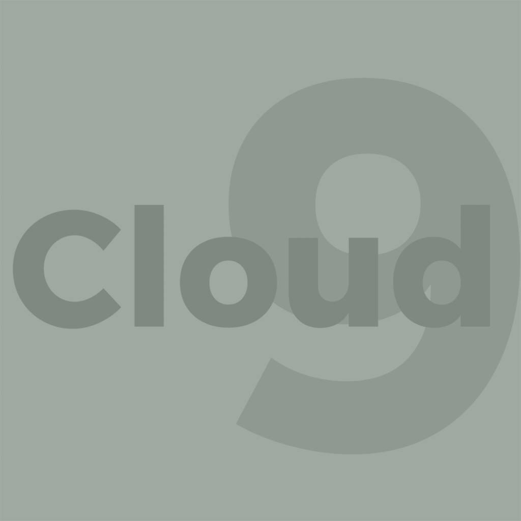 Nieuwe website van Cloudnine