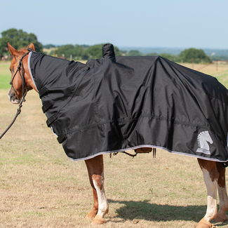 Thor Equine – 10x Korkstreifen zur Passoptimierung von Hu?Ten ohne  Klebestreifen – Ca. 20 x 2 x 0.2 cm Korkeinlagen liegen angenehm auf der  Haut & können unter EIN Schweißband gelegt Werden : : Fashion