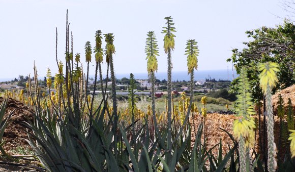 Het huidverzorgingsritueel van Santaverde