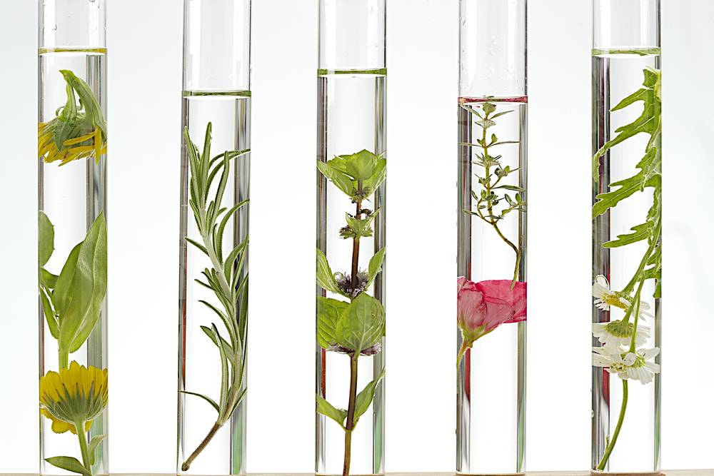 Ingrediënten in cosmetica met uitleg (INCI's)