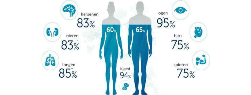 Waarom is water drinken belangrijk voor, tijdens en na het sporten?