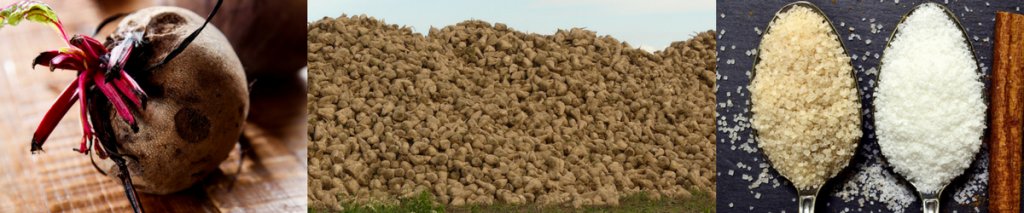 Zit er suiker in brood?