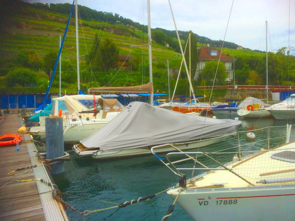 Dektent kuipzeil Bayliner Cuddy 642