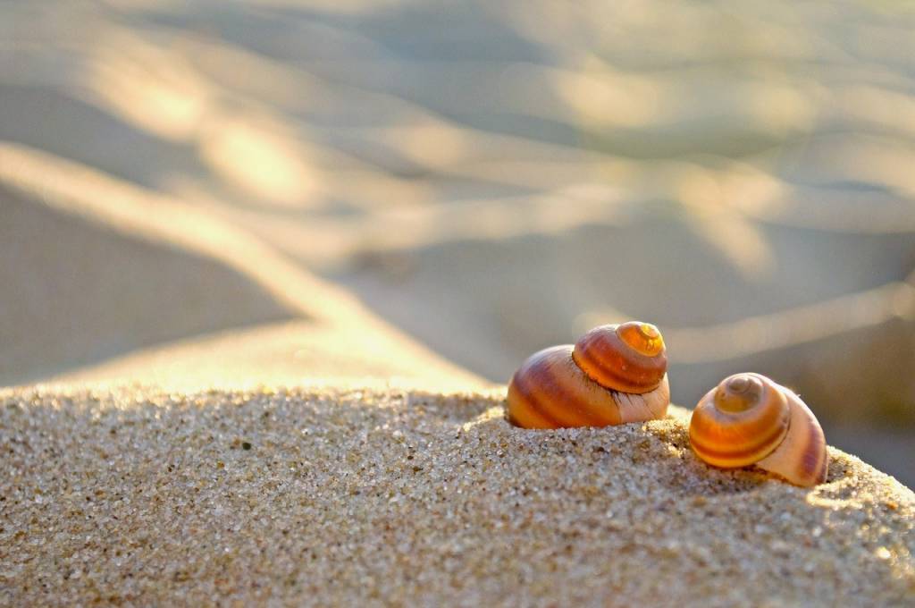 De strandtent mag weer open