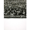 Karpet Spectrum 4383