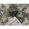 Karpet Ace 6444