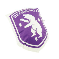 Beerschot Kussen Logo