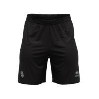ERREA 23/24 | Beerschot | Wedstrijdshort |  3th kit | Black
