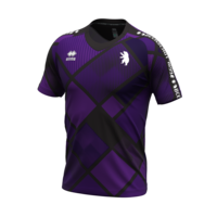 ERREA 24-25 | Beerschot | Shirt | Pre Match | Purple