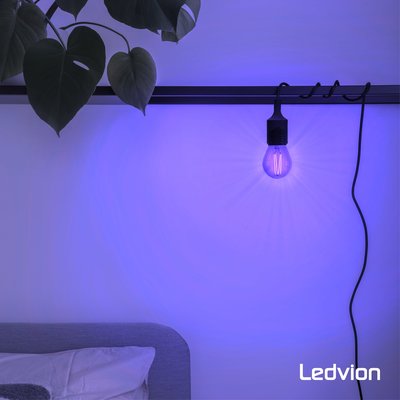 Ampoule LED Ledvion E27 - Dimmable - 4.5W - 2300K - 470 Lumen