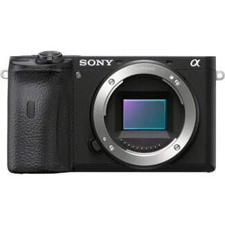 Sony A6600 Nr. 3386