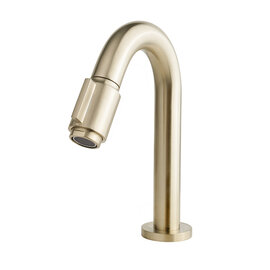 Wiesbaden Wiesbaden Victoria luxe fonteinkraan 1/2'' | Geborsteld messing
