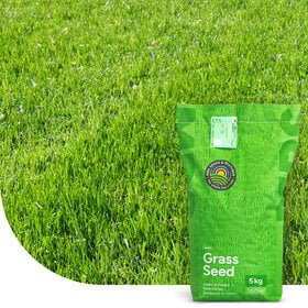 Turbo Green - Grassamen | Rasen Nachsaat