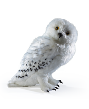 The Noble Collection Harry Potter Hedwig Knuffel 30 cm